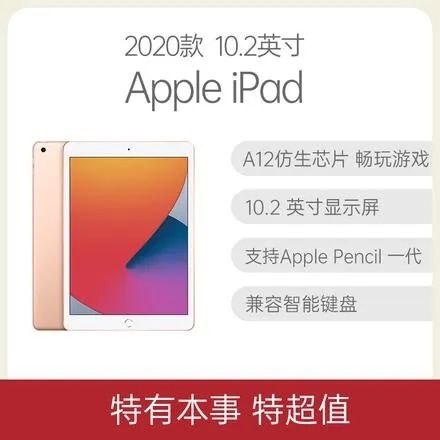 iPad 2020  